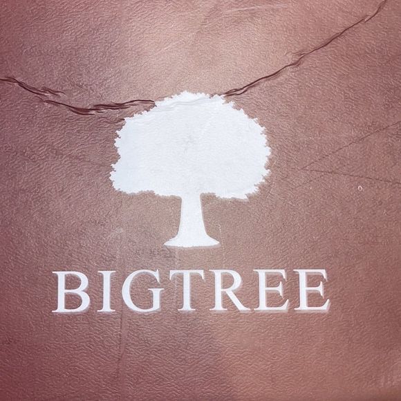 🌳🌟 Big Tree Sparkling Heels - Picture 6 of 7